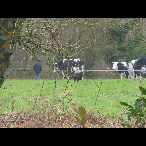 À travers ma fenêtre